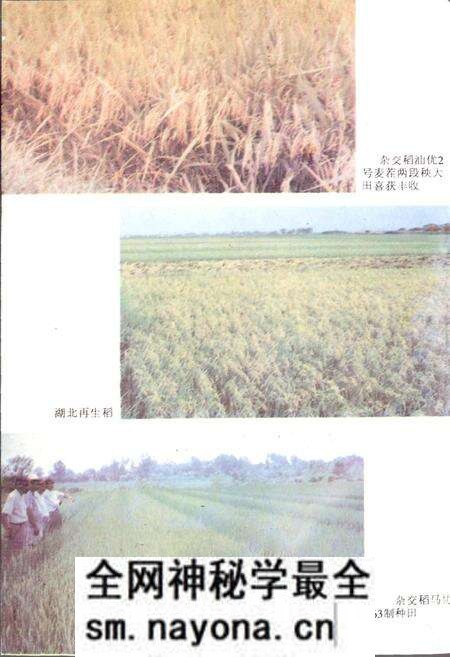 《湖北农牧业志》.pdf电子版_湖北省志预览图5