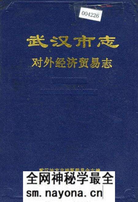 《武汉市志 对外经济贸易志》.pdf电子版_湖北省志预览图