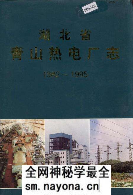 《湖北省青山热电厂志》.pdf电子版_湖北省志预览图