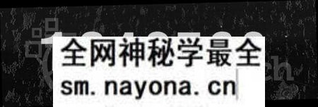 湖南唐氏族谱-治坪唐氏八修族谱.pdf电子版预览图