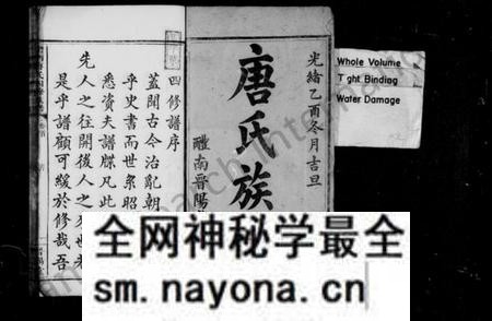 湖南唐氏族谱-唐氏族谱 [8卷,首末各1卷].pdf电子版预览图3
