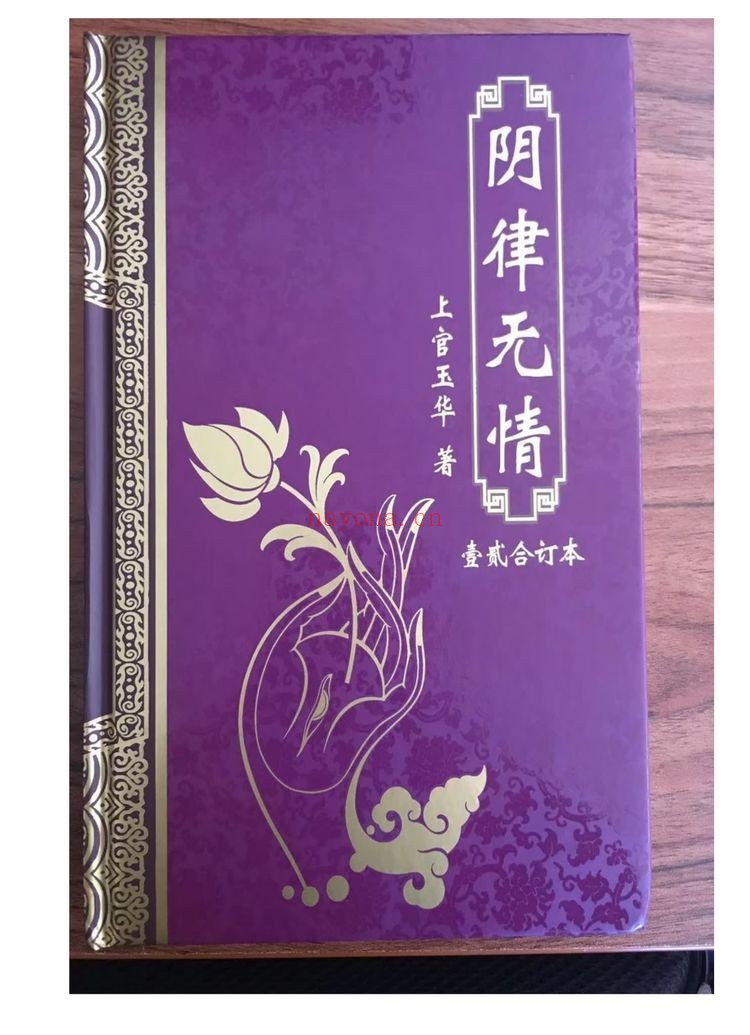 阴律无情《拍照版-现代-》PDF电子书（431页）