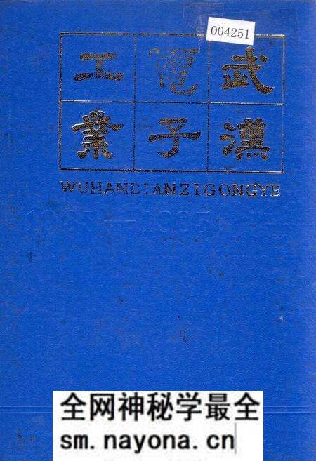 《武汉电子工业》.pdf电子版_湖北省志预览图