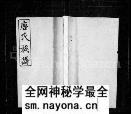 湖南唐氏族谱-唐氏族谱 [10卷,首4卷].pdf电子版预览图1
