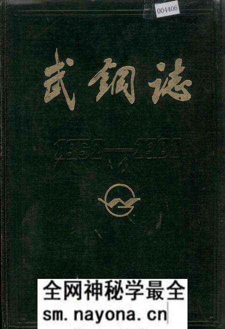 《武钢志 第一卷 中册》.pdf电子版_湖北省志预览图