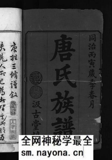 湖南唐氏族谱-唐氏三修族谱 [4卷].pdf电子版预览图2