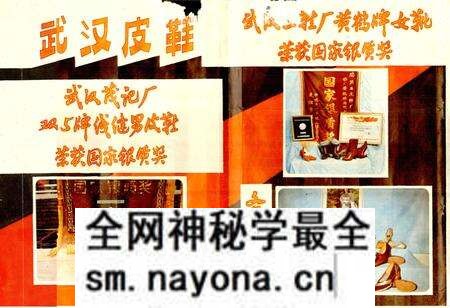《武汉皮革工业志》.pdf电子版_湖北省志预览图2 《武汉皮革工业志》.pdf电子版_湖北省志预览图2