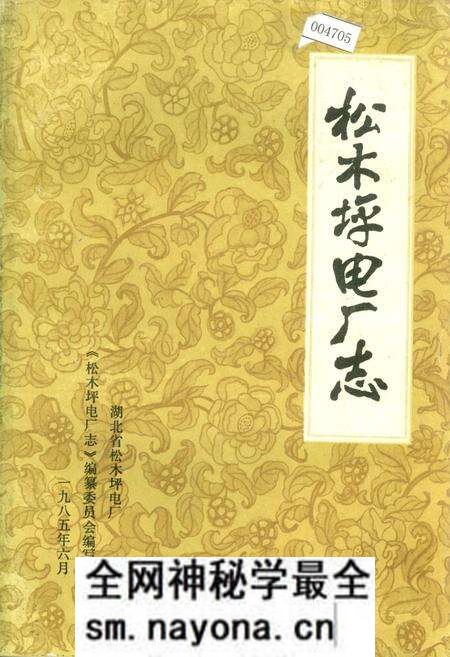 《松木坪电厂志》.pdf电子版_湖北省志预览图 《松木坪电厂志》.pdf电子版_湖北省志预览图