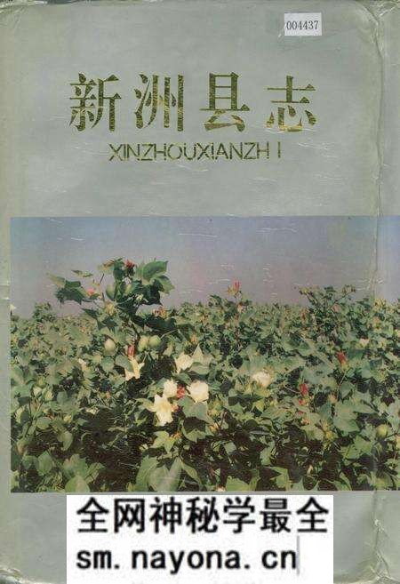 《新洲县志》.pdf电子版_湖北省志预览图 《新洲县志》.pdf电子版_湖北省志预览图