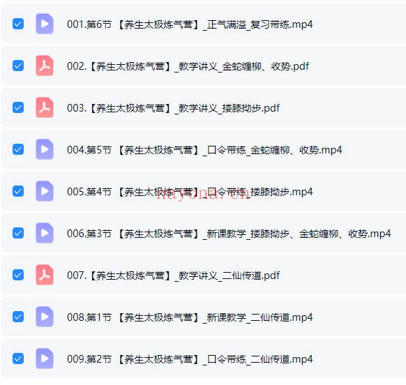 武当秘传42天扶正固本养生太极炼气营视频合集