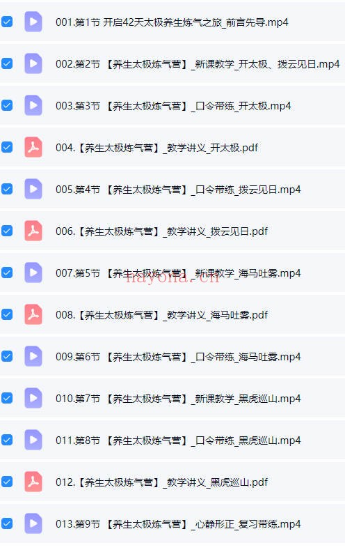 武当秘传42天扶正固本养生太极炼气营视频合集