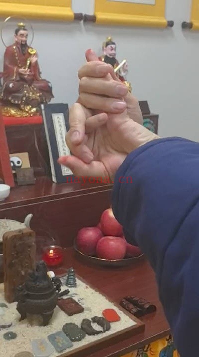 三书文昌朝科文昌灯仪一宗视频+课件 道教科仪