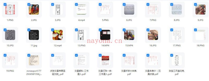 三书文昌朝科文昌灯仪一宗视频+课件 道教科仪