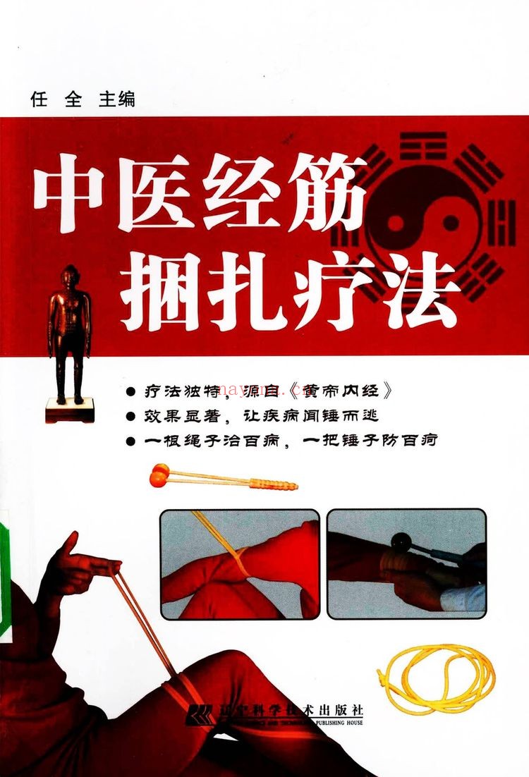 《中医经筋捆扎疗法》PDF电子书（144页）