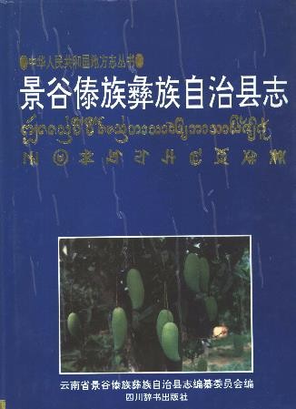 云南省景谷傣族彝族自治县志