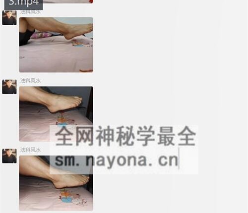 K2230王久国武当盘龙门《枯树还阳功》视+图
