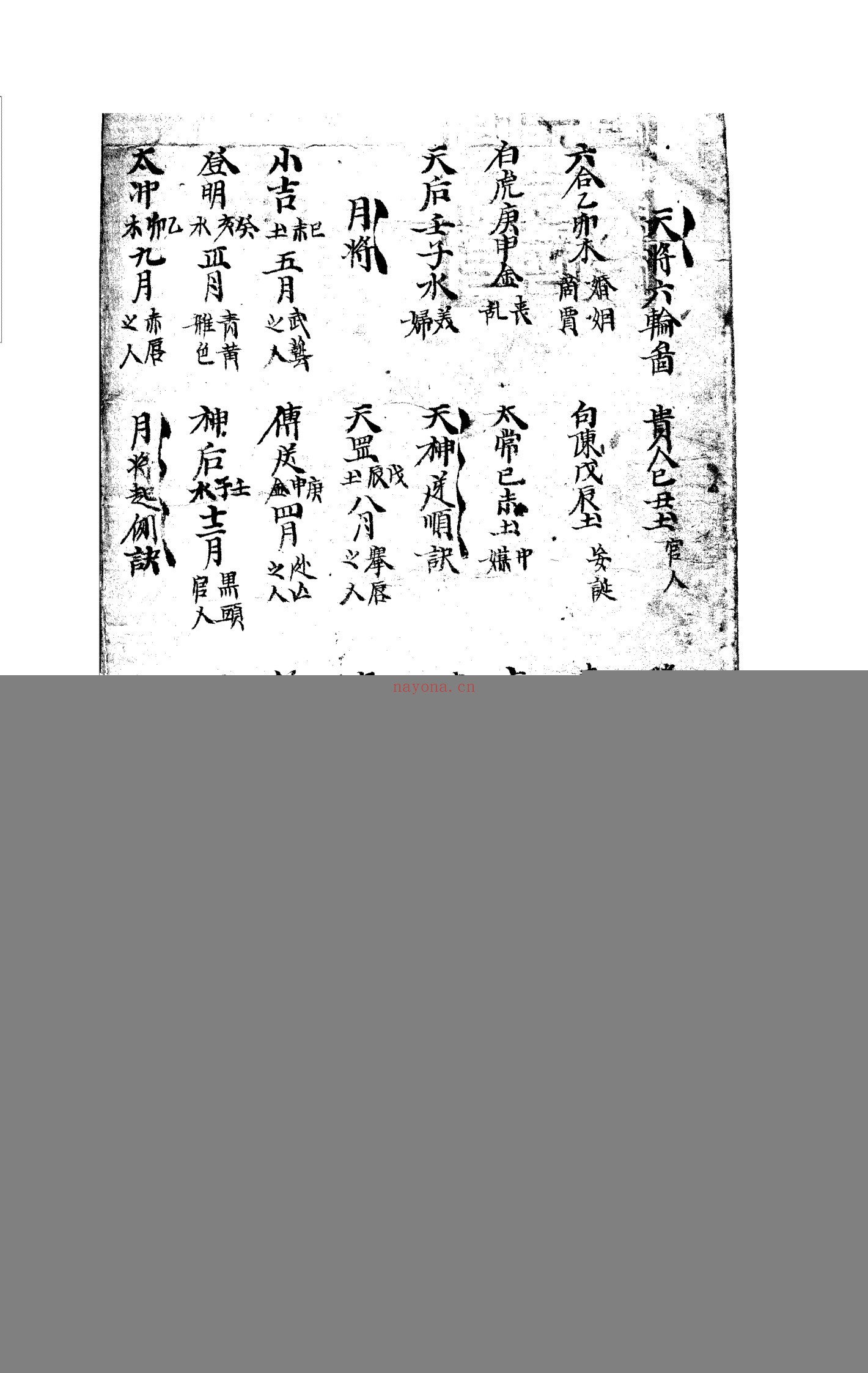 墨龟