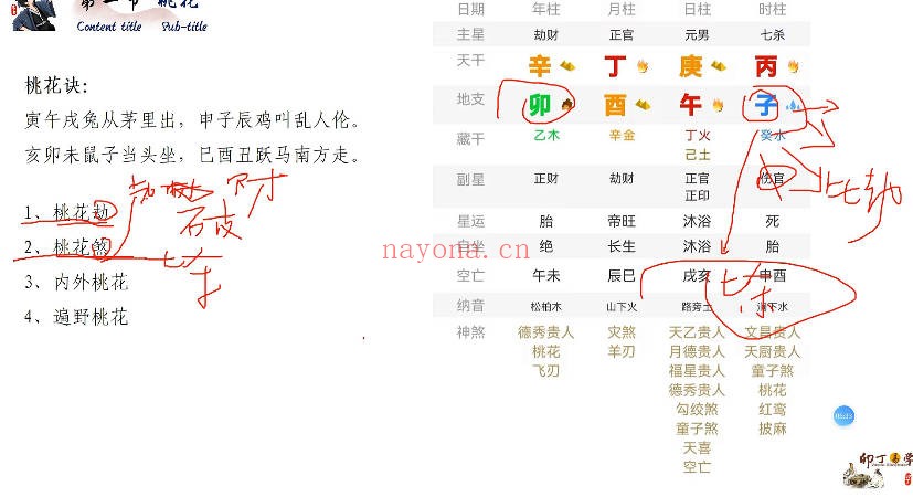 卯丁盲派基础精讲20集视频 盲派命理