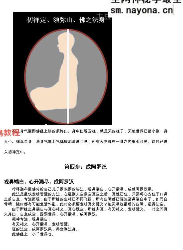 一尘丹道燃灯法脉（460页）.pdf