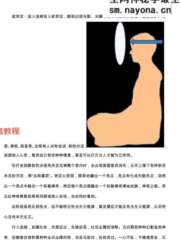 一尘丹道燃灯法脉（460页）.pdf