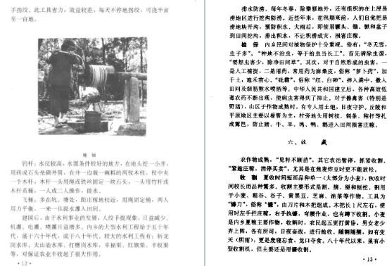 内乡民俗志.pdf下载