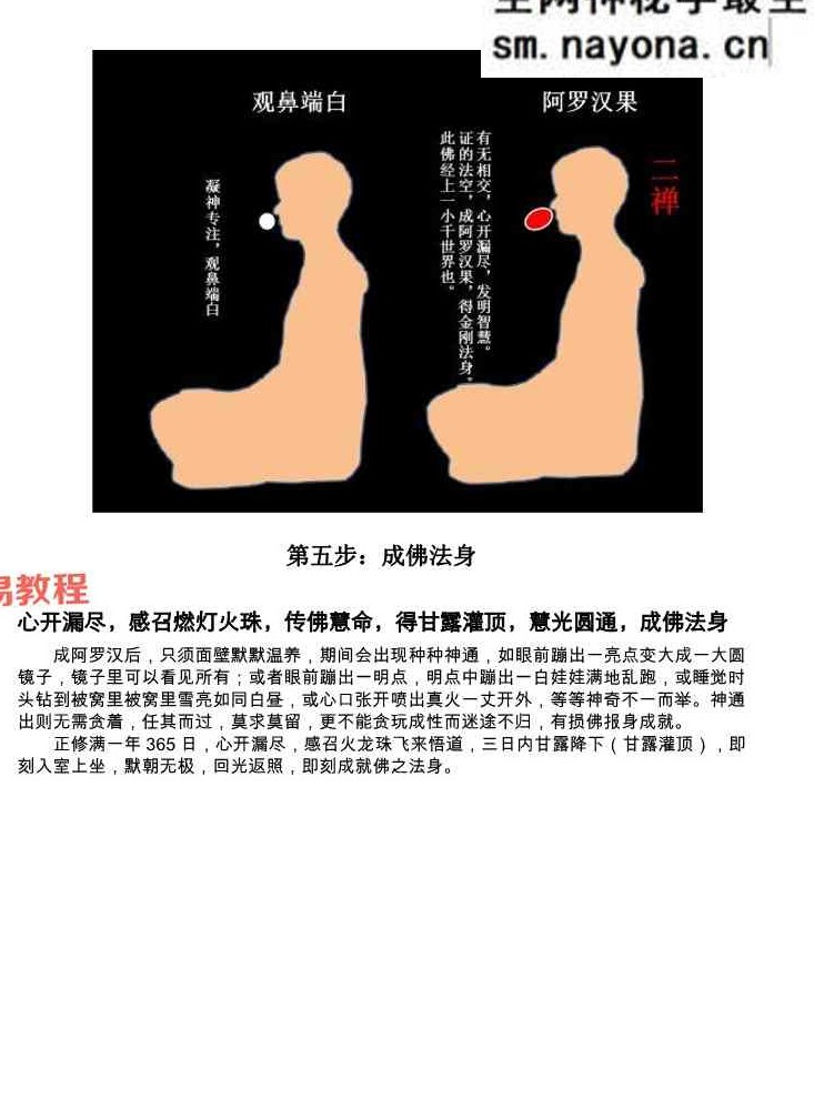一尘丹道燃灯法脉（460页）.pdf