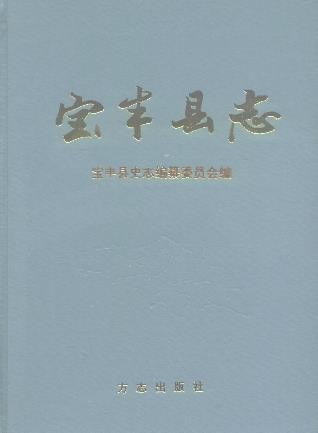 河南省宝丰县志.pdf下载