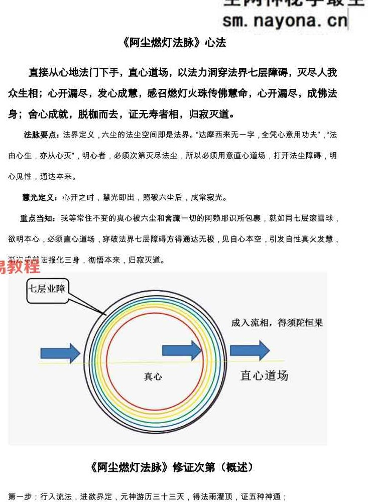 一尘丹道燃灯法脉（460页）.pdf