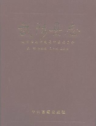河南省武陟县志.pdf下载
