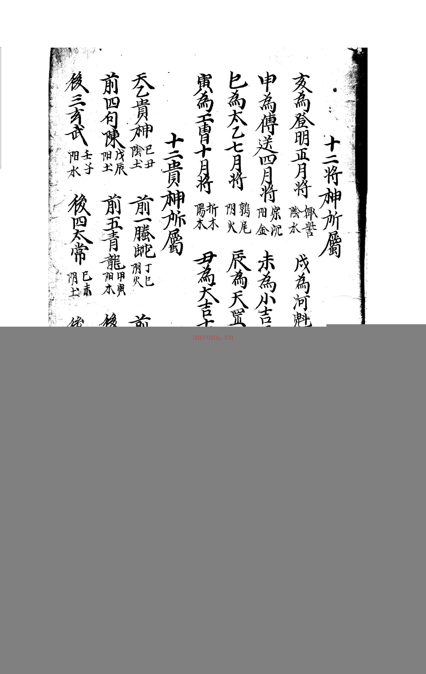 墨龟