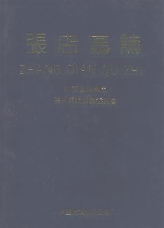 张店区志.pdf下载