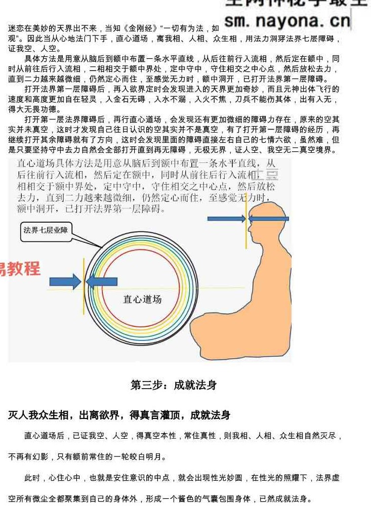 一尘丹道燃灯法脉（460页）.pdf