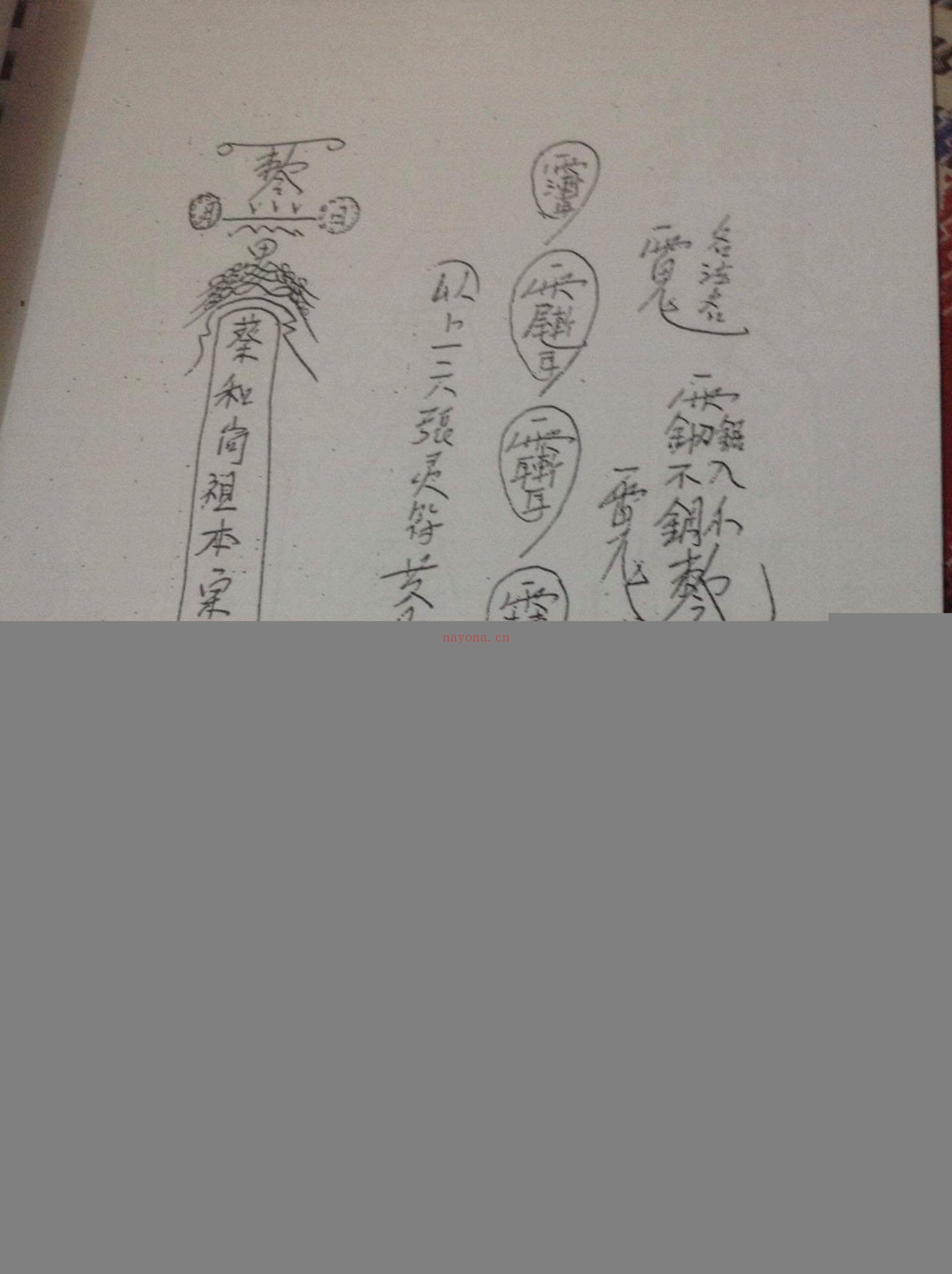 香港茅山真心教