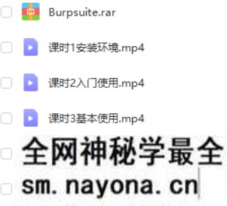 Burp进行Web漏洞扫描与分析