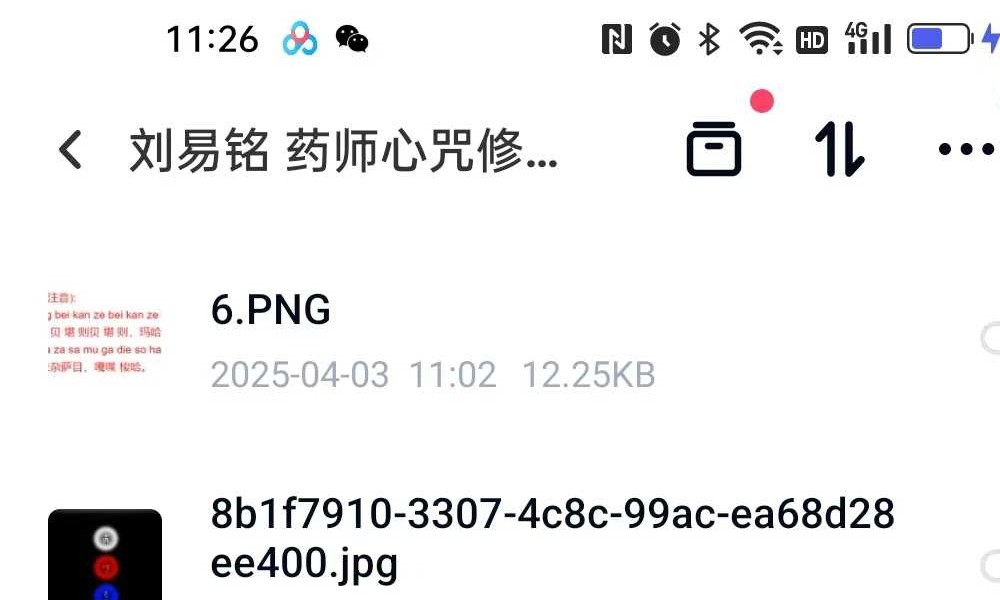 刘易铭 药师心咒修法 视频+文档
