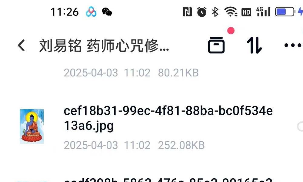 刘易铭 药师心咒修法 视频+文档