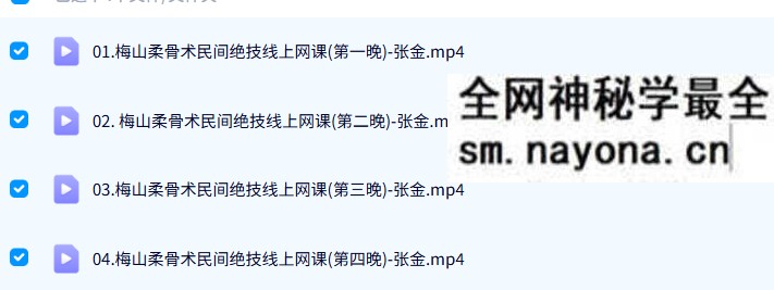 张金中医祝由梅山柔骨术民间绝技线上网课4集视频