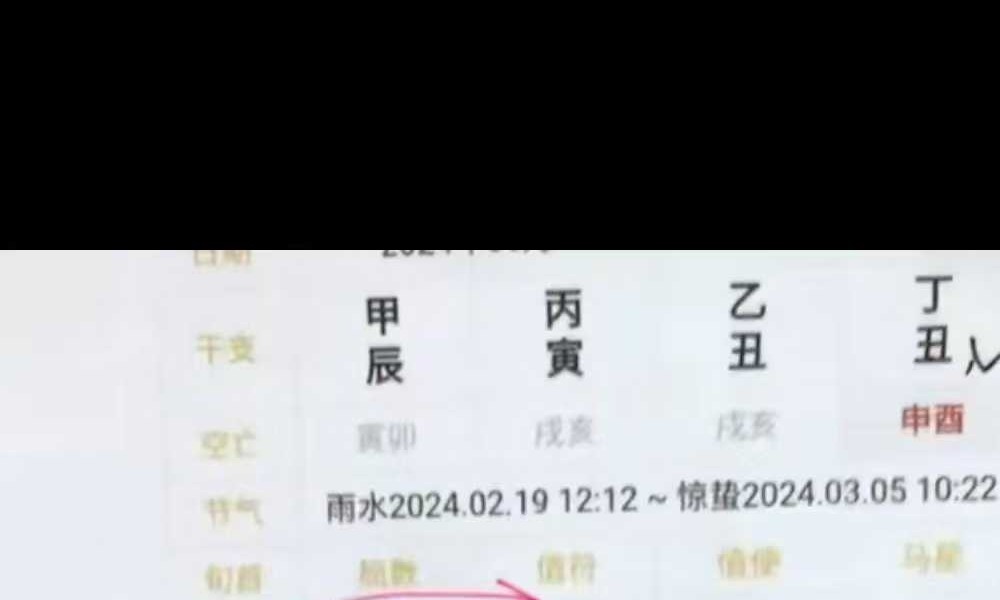 大马老师《奇门基础+综合应用课程》17集