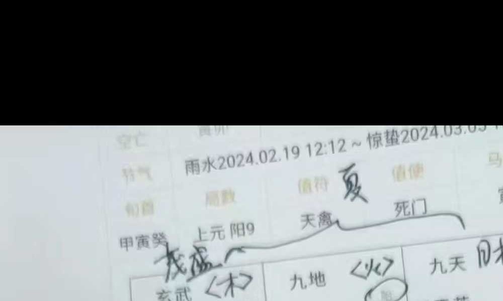 大马老师《奇门基础+综合应用课程》17集