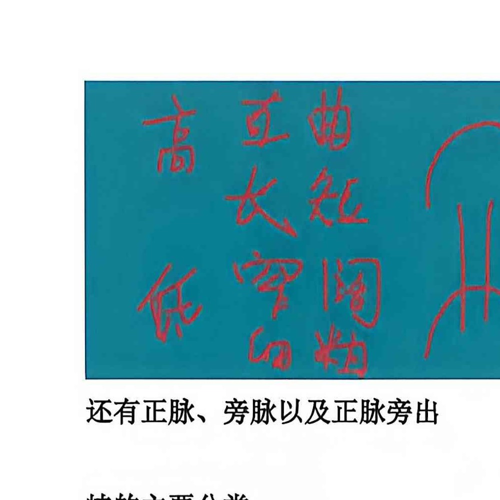 于城道阴宅风水形峦气绝密讲义.pdf 234页
