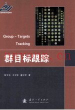 群目标跟踪