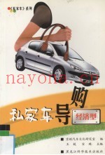 私家车导购-经济型