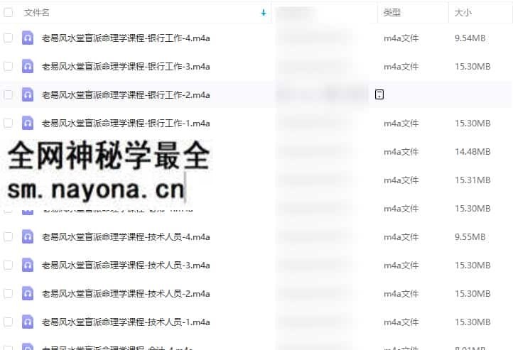 老易盲派职业专题课程录音31集