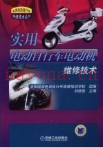 实用电动自行车电动机维修技术