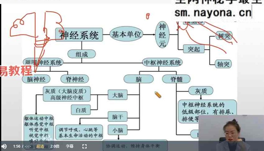 赵书曦丹溪学派秘术高级班 视频35集