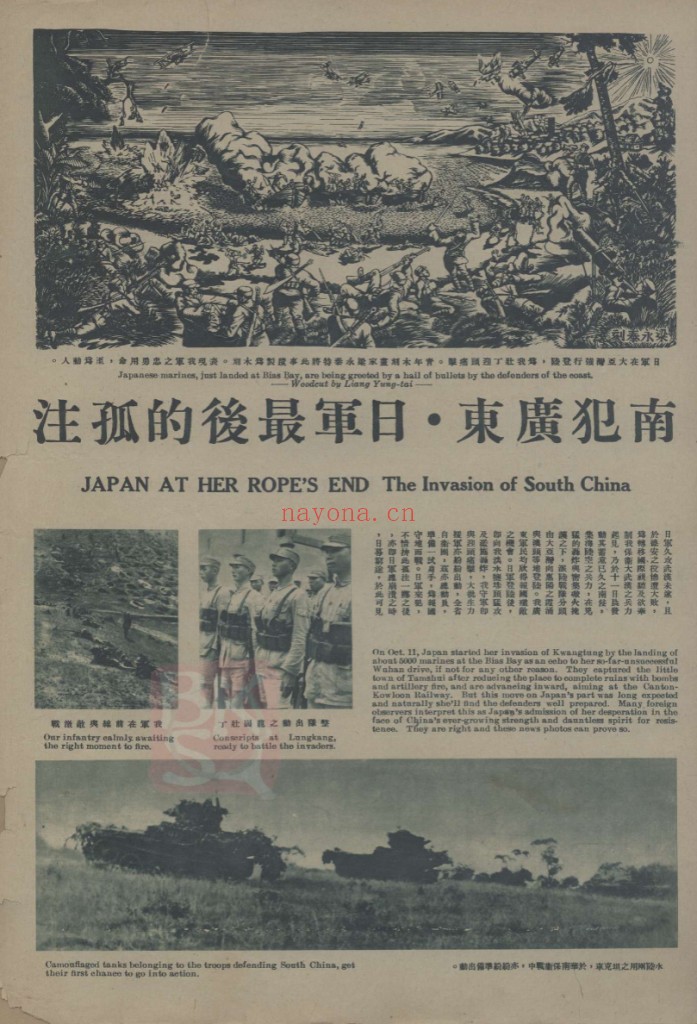 大地画报