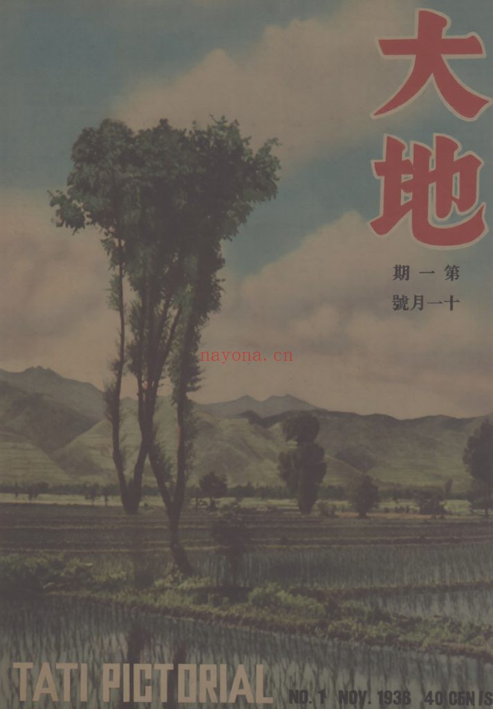 大地画报