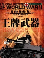 全景二战  王牌武器