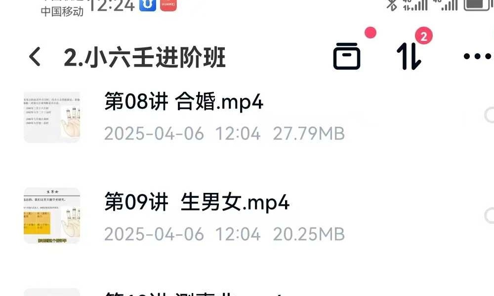 震午堂国学小六壬兴趣班+进阶班 25集