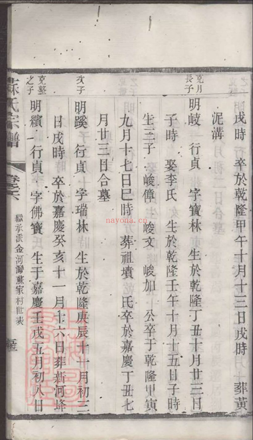 苏氏宗谱族谱